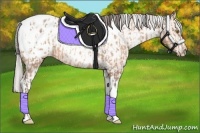 Horse Color:Amber Champagne Sabino Tobiano Blanket  and Silver Amber Champagne Sabino Tobiano Blanket 