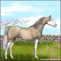 Horse Color:Chocolate Palomino Pearl Splash 
