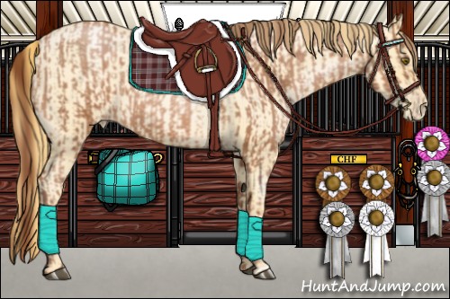 Horse Color:Chocolate Brown Pearl and Chocolate Buckskin Roan Pearl