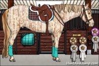 Horse Color:Chocolate Brown Pearl and Chocolate Buckskin Roan Pearl