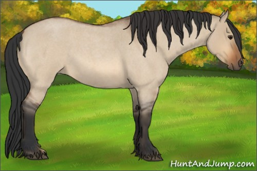 Horse Color:Bay Roan Dun Rabicano 