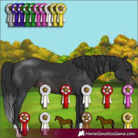 Horse Color:Brown 