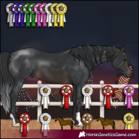 Horse Color:Brown 