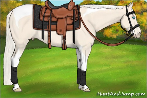 Horse Color:Cremello Tobiano 