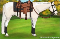 Horse Color:Cremello Tobiano 