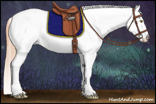 Horse Color:White Spotted Gold Champagne 
