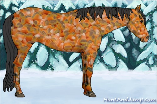 Horse Color:Bay Roan 