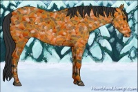 Horse Color:Bay Roan 