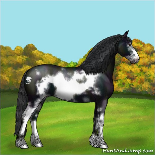 Horse Color:White Spotted Midnight Blue Roan Frame 