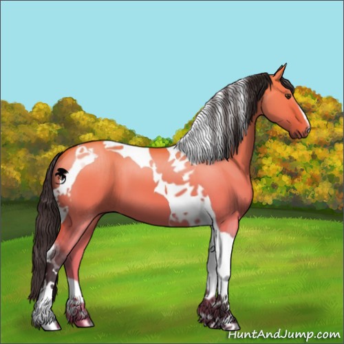 Horse Color:Buckskin Dun Tobiano 