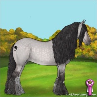 Horse Color:Platinum Buckskin Dun 
