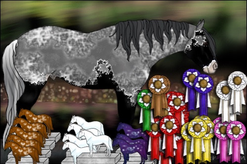 Horse Color:Black Ice Sabino Splash 