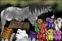 Horse Color:Black Ice Sabino Splash 