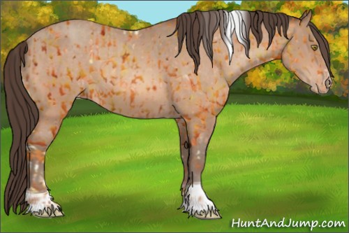 Horse Color:Amber Champagne Sabino Tobiano Appaloosa  and Amber Champagne Sabino Tobiano Appaloosa 