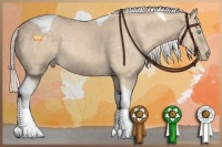 Horse Color:Cremello Tobiano 