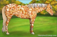 Horse Color:Gold Champagne Splash Tobiano 