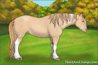Horse Color:Gold Champagne Tobiano