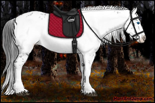 Horse Color:Black Frame 