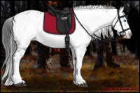 Horse Color:Black Frame 