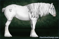 Horse Color:Black Frame