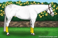 Horse Color:Liver Chestnut Frame 