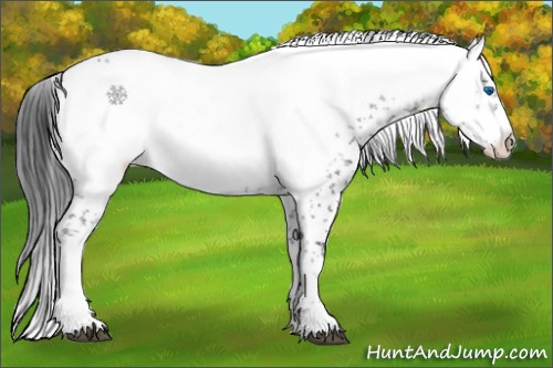 Horse Color:Black Frame 