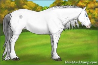 Horse Color:Black Frame 