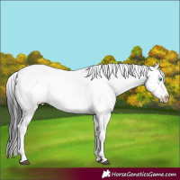Horse Color:Black Frame 