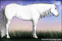 Horse Color:Black Frame