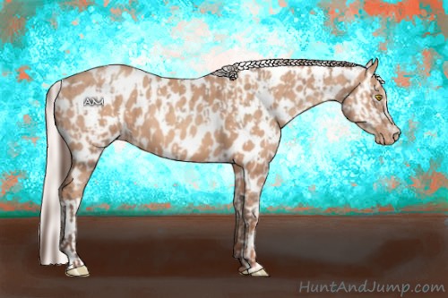 Horse Color:Amber Champagne Appaloosa  and Silver Amber Champagne Appaloosa 