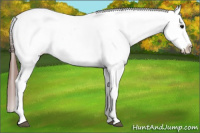 Horse Color:Bay Splash Tobiano Varnish 