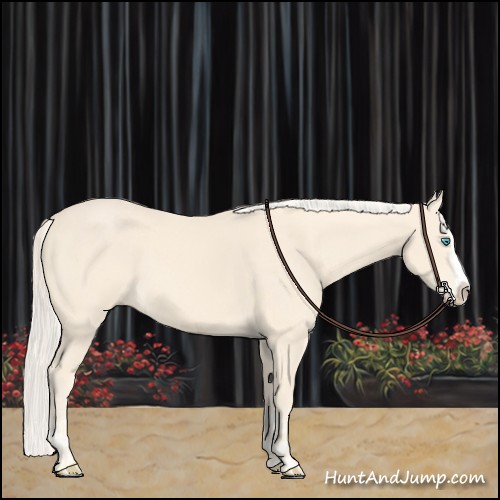 Horse Color:Cremello Splash  and Cremello Splash 