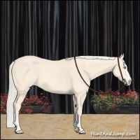 Horse Color:Cremello Splash  and Cremello Splash 