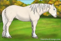 Horse Color:Cremello Splash  and Cremello Splash 