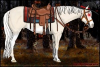Horse Color:Cremello Splash  and Cremello Splash Rabicano 