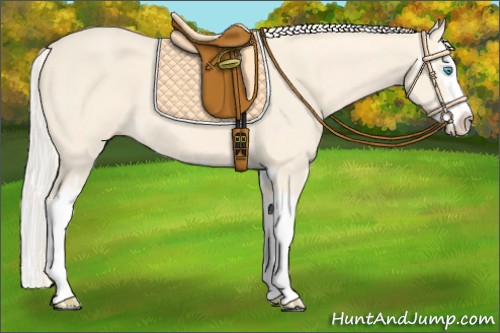 Horse Color:Cremello Splash  and Cremello Splash 