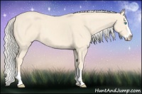 Horse Color:Cremello Splash  and Cremello Splash 