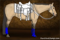 Horse Color:Buckskin Dun 