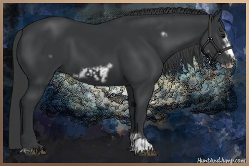 Horse Color:Black  and Black Frame 
