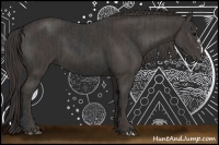 Horse Color:Black  and Smoky Black 