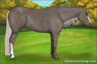 Horse Color:Silver Black 