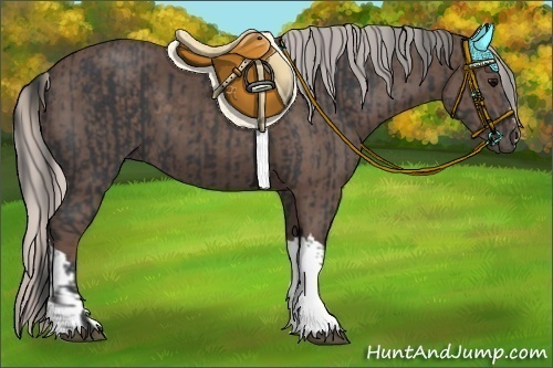 Horse Color:Black  and Silver Black 