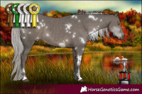 Horse Color:White Spotted Silver Black Sabino 