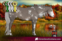 Horse Color:White Spotted Silver Black Sabino 