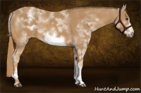 Horse Color:White Spotted Chestnut Sabino Frame 