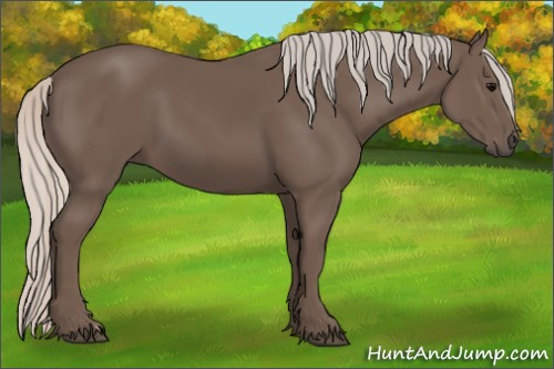 Horse Color:Silver Black 