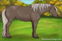 Horse Color:Silver Black 