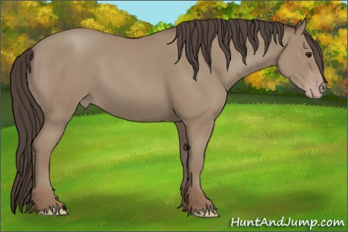 Horse Color:Classic Champagne 