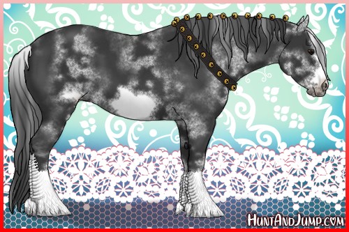 Horse Color:White Spotted Black Sabino Frame