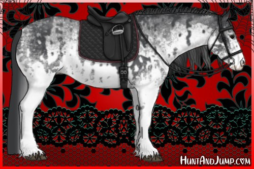 Horse Color:White Spotted Blue Roan Rabicano  and White Spotted Blue Roan Rabicano 